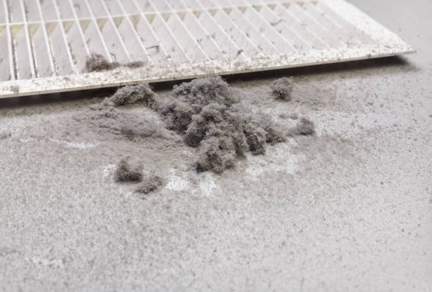 Best Air Duct Cleaning Near Me  in Catahou, LA