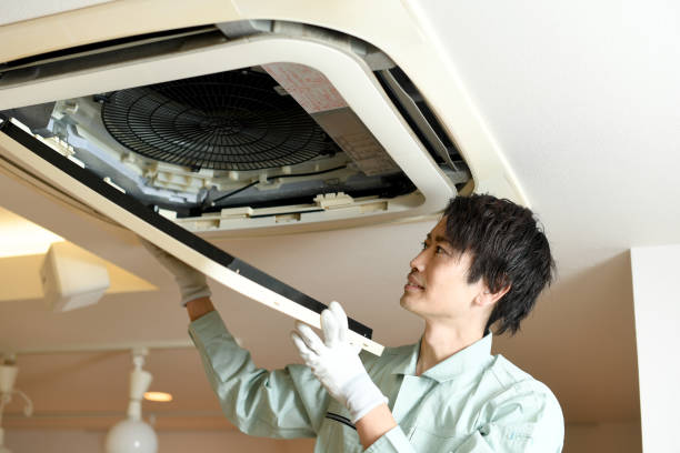 Best Local Air Duct Cleaning Services  in Catahou, LA